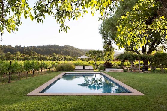 Swimming pool in a vineyard